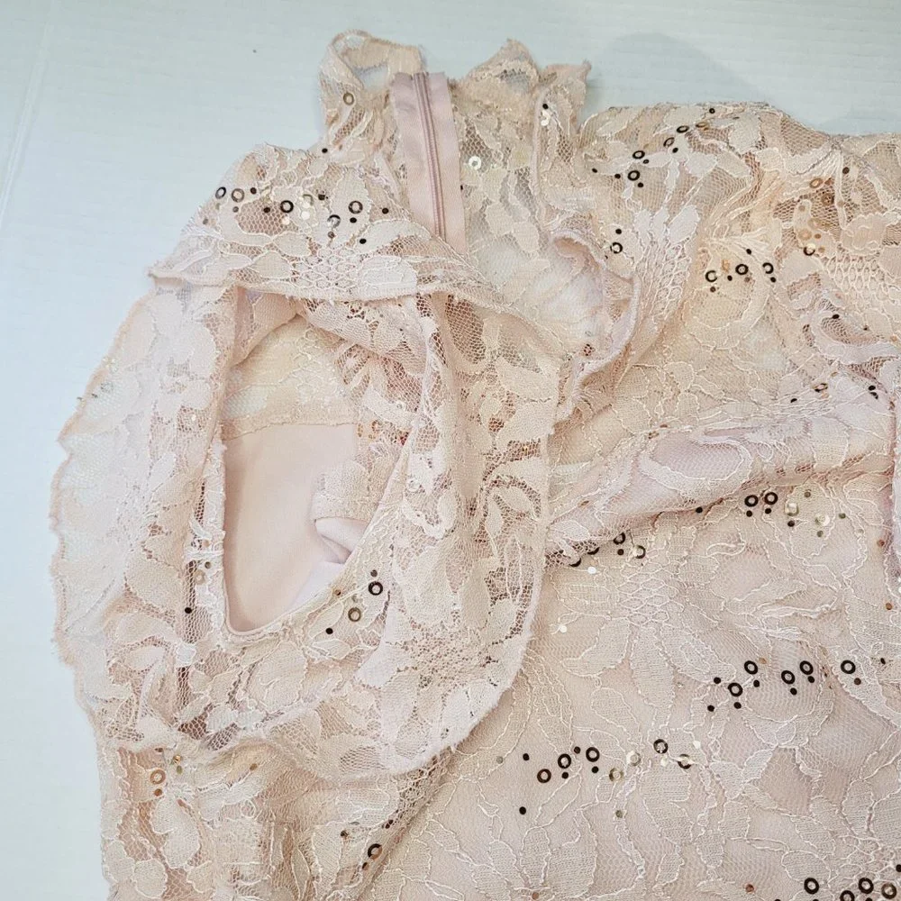 Enfocus Studios Dress Womens Sequin Lace Peach Size 4 Zipper Occasion Wedding - Picture 6 of 9